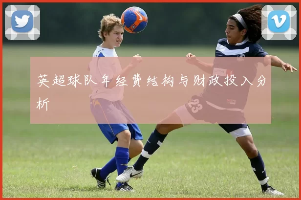 英超球队年经费结构与财政投入分析