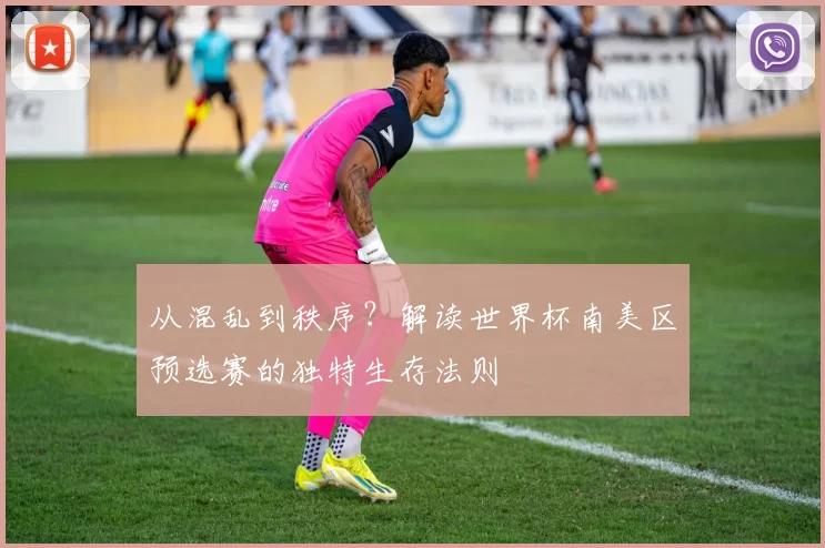 从混乱到秩序？解读世界杯南美区预选赛的独特生存法则