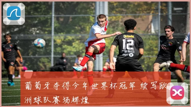 葡萄牙夺得今年世界杯冠军 续写欧洲球队赛场辉煌