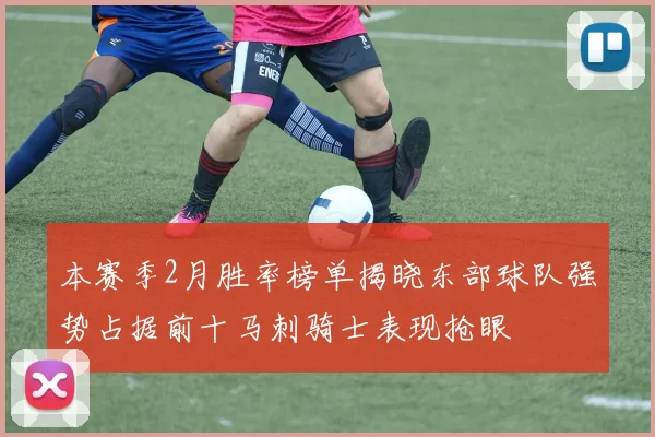 本赛季2月胜率榜单揭晓东部球队强势占据前十马刺骑士表现抢眼
