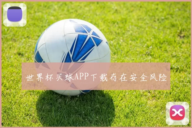 世界杯买球APP下载存在安全风险