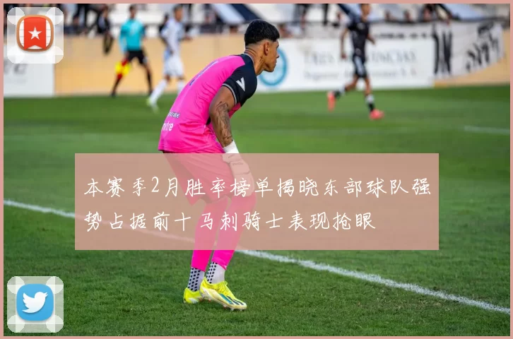 本赛季2月胜率榜单揭晓东部球队强势占据前十马刺骑士表现抢眼