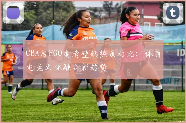 CBA与FGO高清壁纸热度对比：体育电竞文化融合新趋势