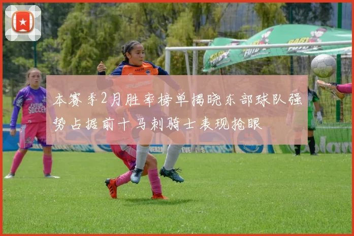 本赛季2月胜率榜单揭晓东部球队强势占据前十马刺骑士表现抢眼