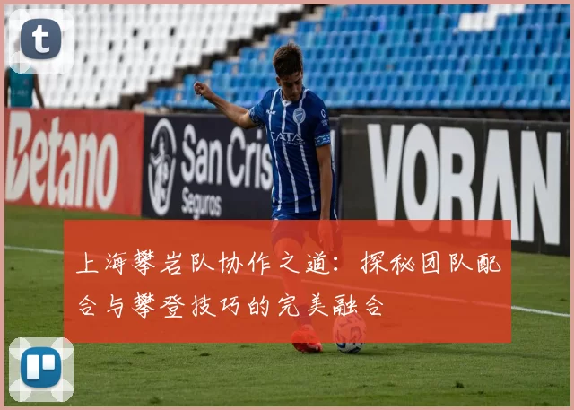 上海攀岩队协作之道:探秘团队配合与攀登技巧的完美融合
