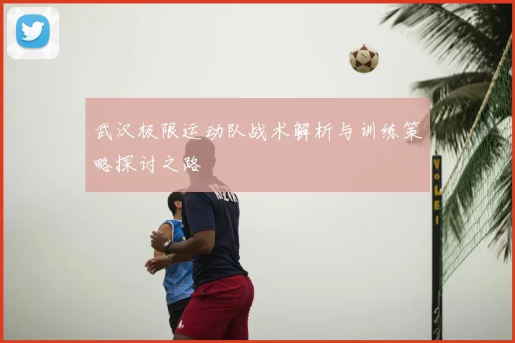 武汉极限运动队战术解析与训练策略探讨之路