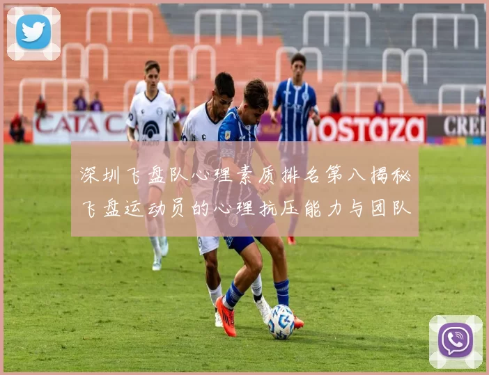 深圳飞盘队心理素质排名第八揭秘飞盘运动员的心理抗压能力与团队协作
