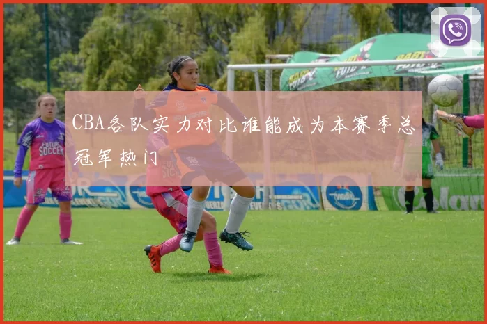 CBA各队实力对比谁能成为本赛季总冠军热门