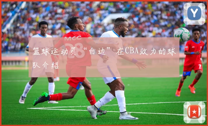 篮球运动员“白边”在CBA效力的球队介绍