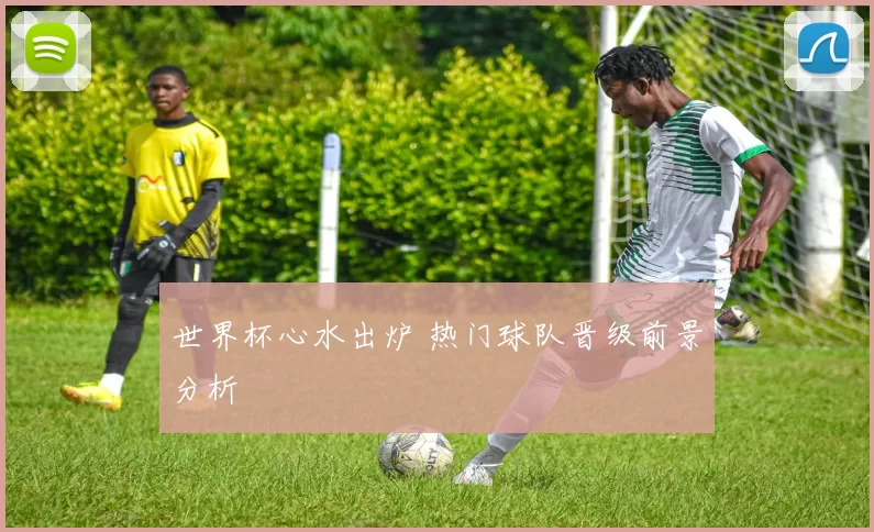 世界杯心水出炉 热门球队晋级前景分析