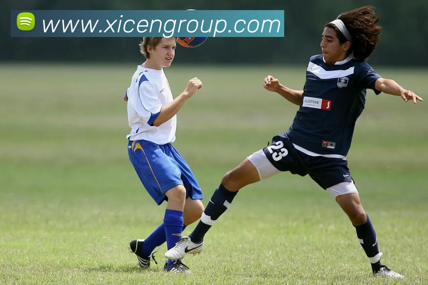 华体官网登录发展历程