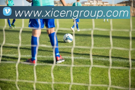 高性价比实用健身器材清单解锁全维度塑形方案